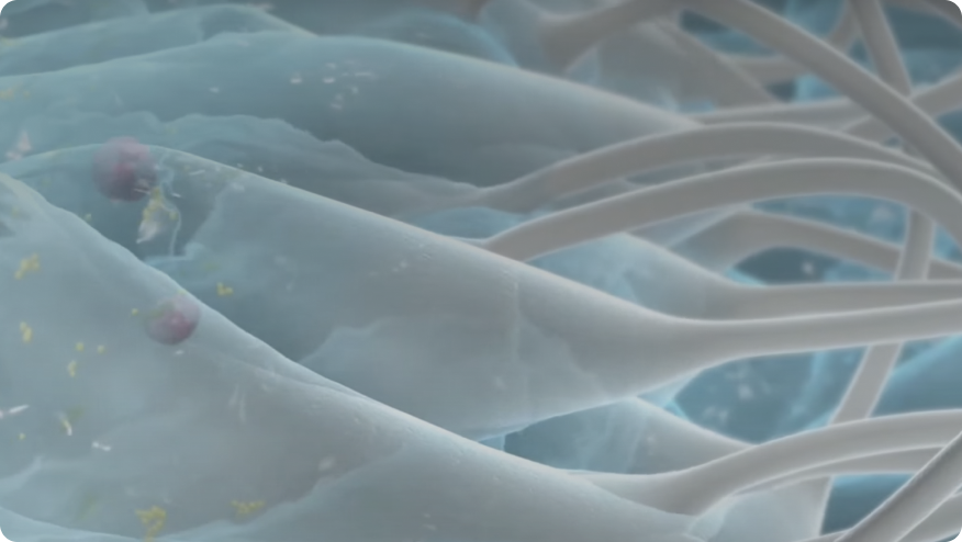 En närbild av en teckning av bakterier